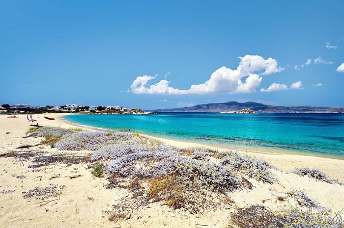 Bãi biển Mikri Vigla - Du lịch đảo Naxos Hy Lạp